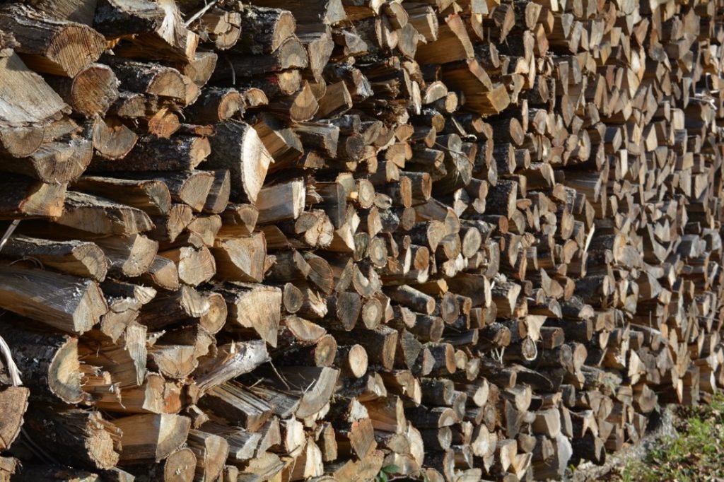 Gespaltenes Holz an Waldrand